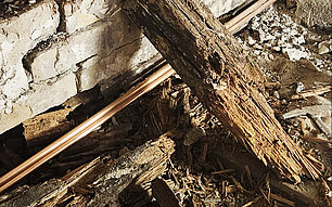 Holzsanierung Schwammsanierung